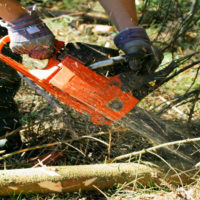 Does Workers’ Compensation Cover Tree Trimming Injuries?